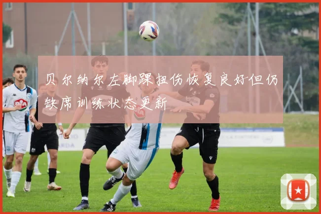 贝尔纳尔左脚踝扭伤恢复良好但仍缺席训练状态更新